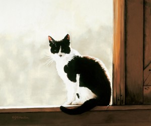Heaton, Cat in Window a