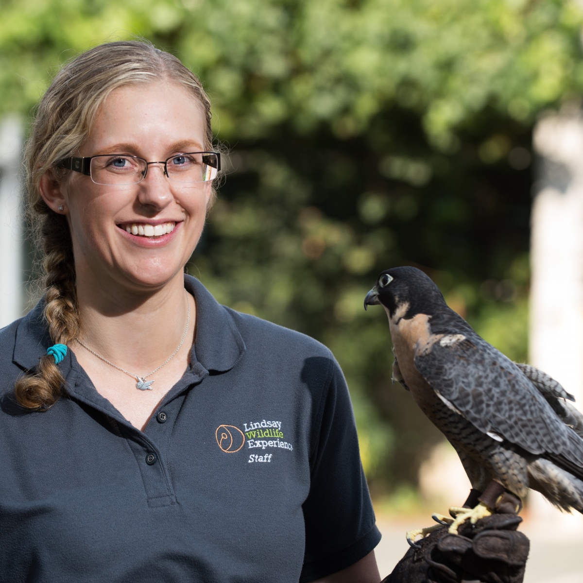 Keeper Workshop: CC-434 - Lindsay Wildlife Experience