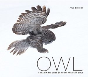 Book cover for OWL by Paul Bannick