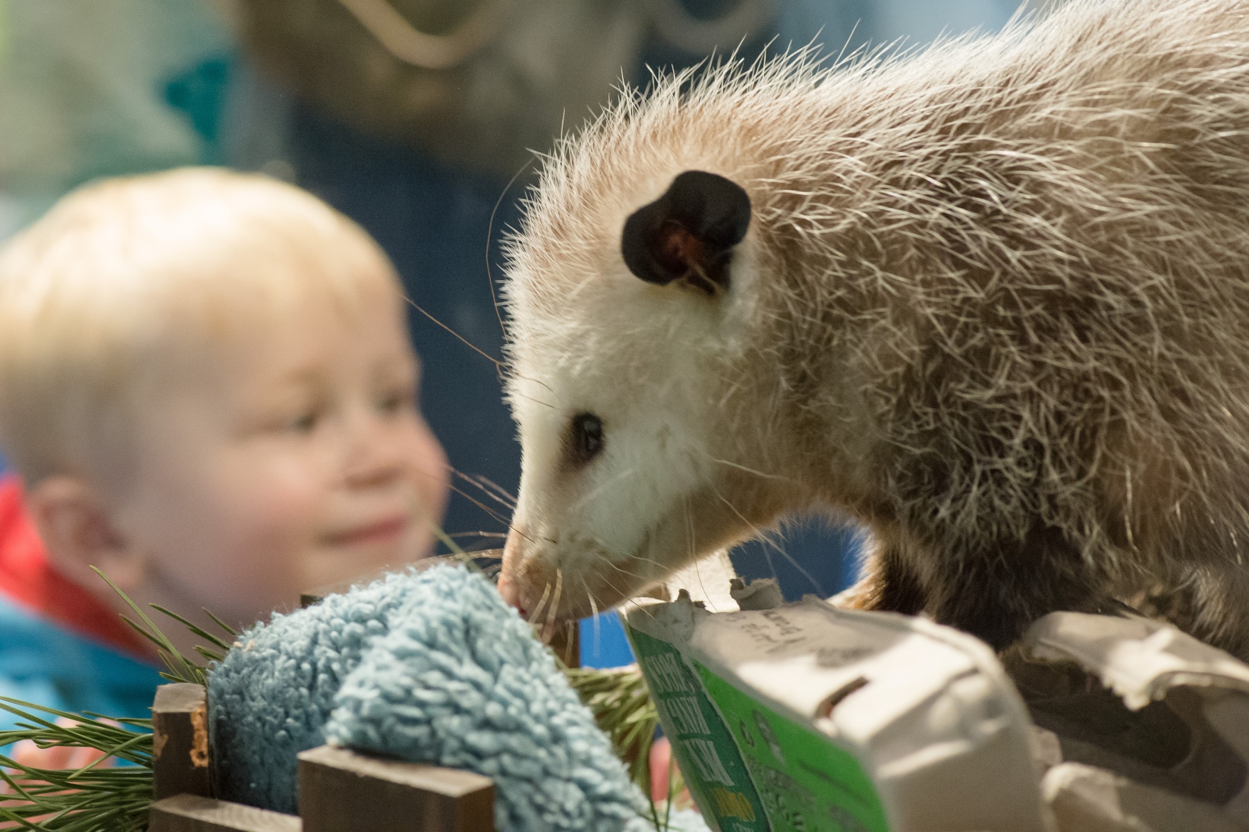 Open Labor Day! Closed Sept. 57 Lindsay Wildlife Experience