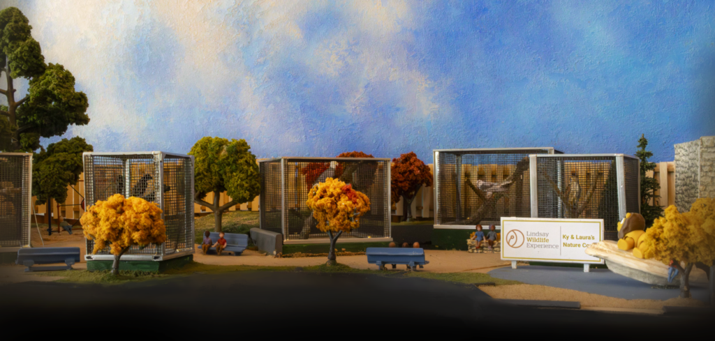 nature cove model