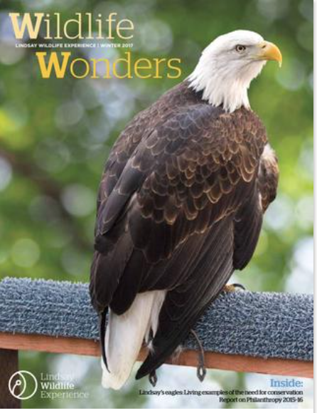 Wildlife Wonders - Lindsay Wildlife Experience